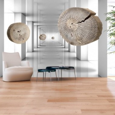 Fotomurale - Inventive Corridor - 100x70
