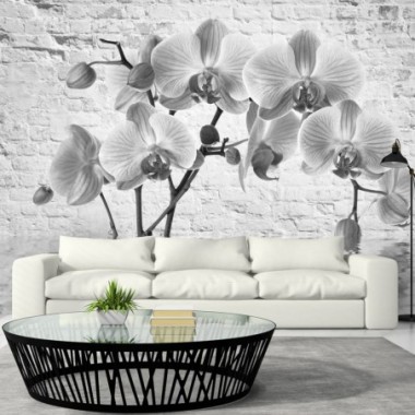 Fotomurale - Orchid in Shades of Gray - 400x280