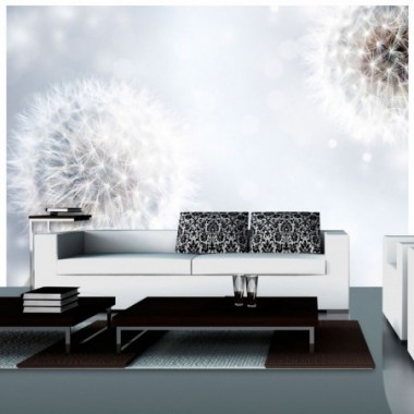 Fotomurale - Momenti imprevedibili - 100x70