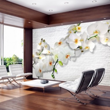 Fotomurale - The Urban Orchid - 100x70