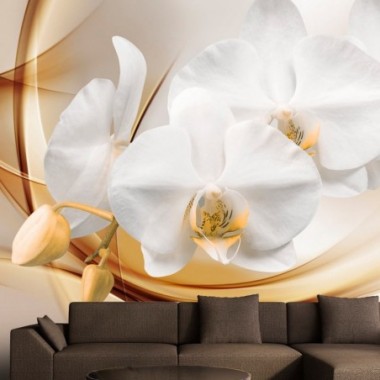 Fotomurale - Fiore di orchidea - 100x70