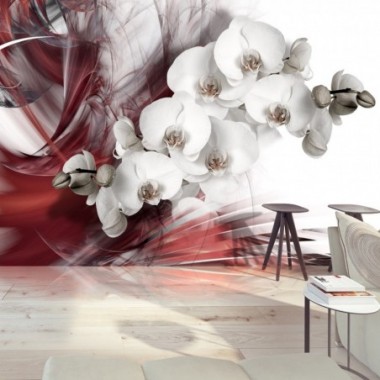 Fotomurale - Orchidea in rosso - 100x70
