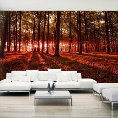 Fotomurale adesivo - Autumn Morning II - 490x280