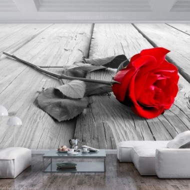 Fotomurale - Abandoned Rose - 250x175