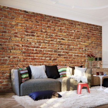 Fotomurale - Brick Wall - 250x175