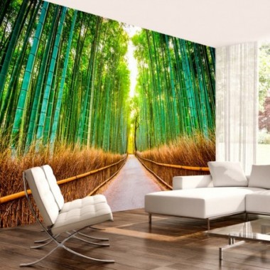 Fotomurale adesivo - Bamboo Forest - 245x175