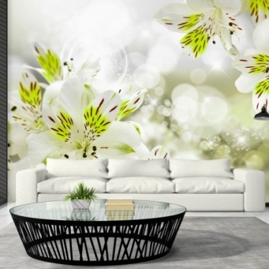 Fotomurale - Southern Princess - 250x175