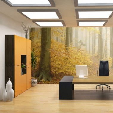 Fotomurale - bosco - autunno - 250x193