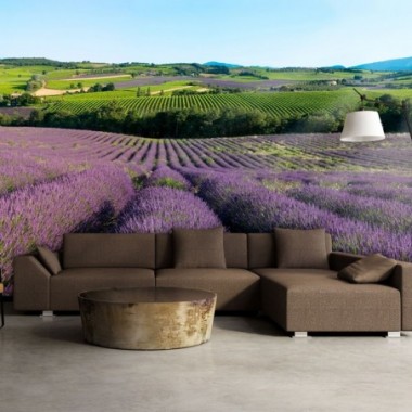 Fotomurale - Campi di lavanda - 250x193