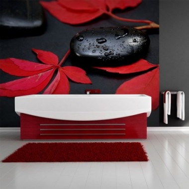 Fotomurale - Rosso intenso - 250x193