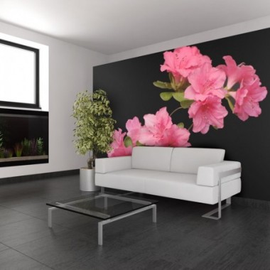Fotomurale - Azalea in Black - 250x193