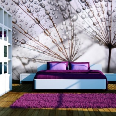 Fotomurale - Rugiada mattutina su soffioni - 250x193