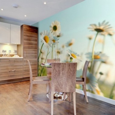 Fotomurale - Margherite: prato primaverile - 250x193