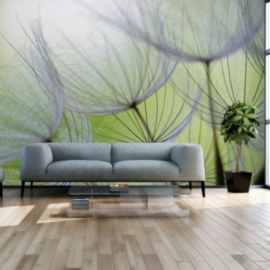 Fotomurale adesivo - Momenti fugaci - 245x175