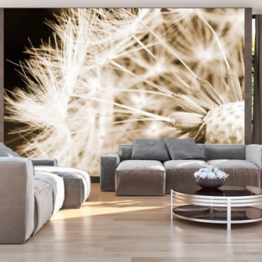Fotomurale - Dandelion - sepia - 300x210