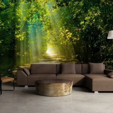 Fotomurale adesivo - Road in Sunlight - 294x210