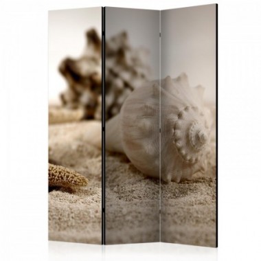 Paravento - Beach and shell [Room Dividers] - 135x172