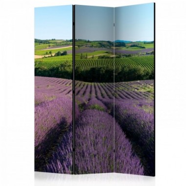 Paravento - Lavender fields [Room Dividers] - 135x172