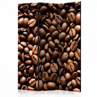 Paravento - Roasted coffee beans [Room Dividers] -...