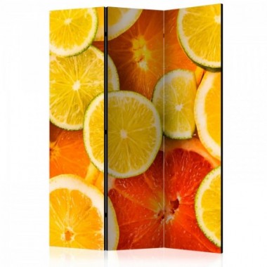Paravento - Citrus fruits [Room Dividers] - 135x172