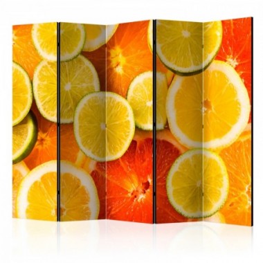 Paravento - Citrus fruits II [Room Dividers] - 225x172