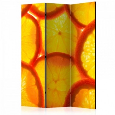 Paravento - Orange slices [Room Dividers] - 135x172