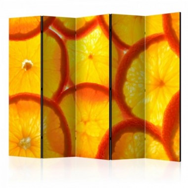 Paravento - Orange slices II [Room Dividers] - 225x172