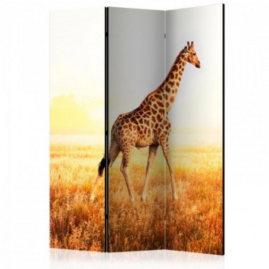 Paravento - giraffe - walk [Room Dividers] - 135x172