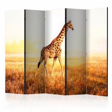 Paravento - giraffe - walk II [Room Dividers] - 225x172