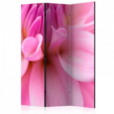 Paravento - Flower petals - dahlia [Room Dividers] -...