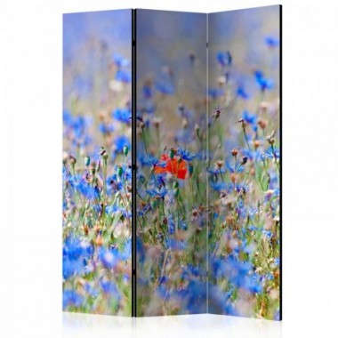 Paravento - A sky-colored meadow - cornflowers [Room...