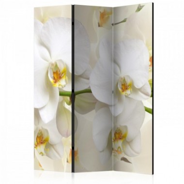 Paravento - Orchid Branch [Room Dividers] - 135x172