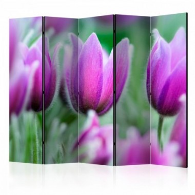 Paravento - Purple spring tulips II [Room Dividers]...