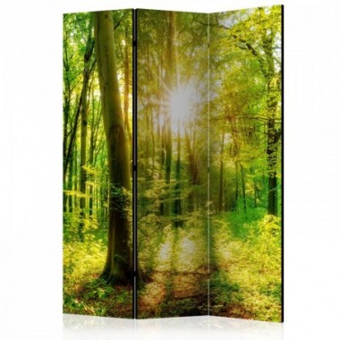 Paravento - Forest Rays [Room Dividers] - 135x172