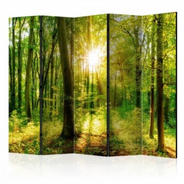 Paravento - Forest Rays II [Room Dividers] - 225x172