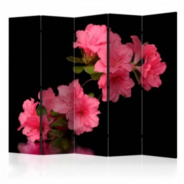 Paravento - Azalea in Black II [Room Dividers] -...