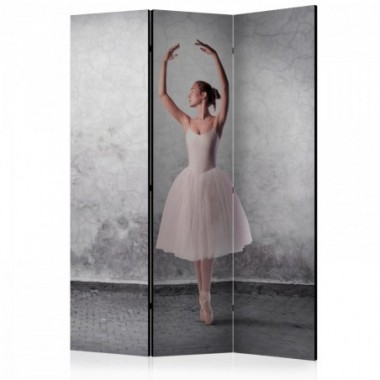 Paravento - Ballerina in Degas paintings style [Room...