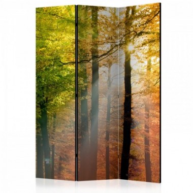 Paravento - Forest Colours [Room Dividers] - 135x172
