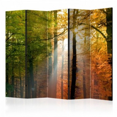 Paravento - Forest Colours II [Room Dividers] - 225x172