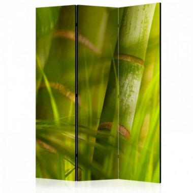 Paravento - bamboo - nature zen [Room Dividers] -...