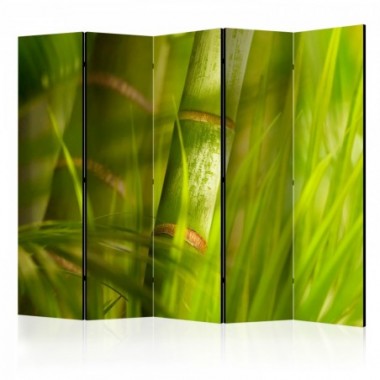 Paravento - bamboo - nature zen II [Room Dividers] -...