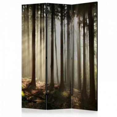 Paravento - Coniferous forest [Room Dividers] - 135x172
