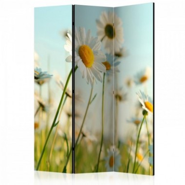 Paravento - Daisies - spring meadow [Room Dividers]...