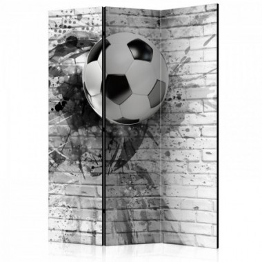 Paravento - Dynamic Football [Room Dividers] - 135x172