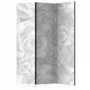 Paravento - Plaster Flowers [Room Dividers] - 135x172