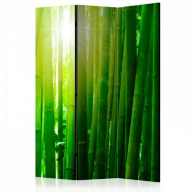 Paravento - Sun and bamboo [Room Dividers] - 135x172