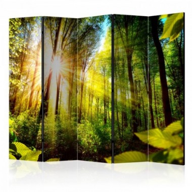 Paravento - Forest Hideout II [Room Dividers] - 225x172