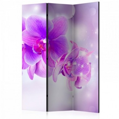 Paravento - Purple Orchids [Room Dividers] - 135x172