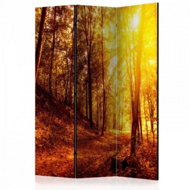 Paravento - Autumn Walk [Room Dividers] - 135x172