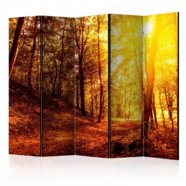 Paravento - Autumn Walk II [Room Dividers] - 225x172